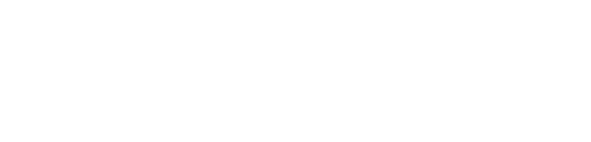 CSV Overview